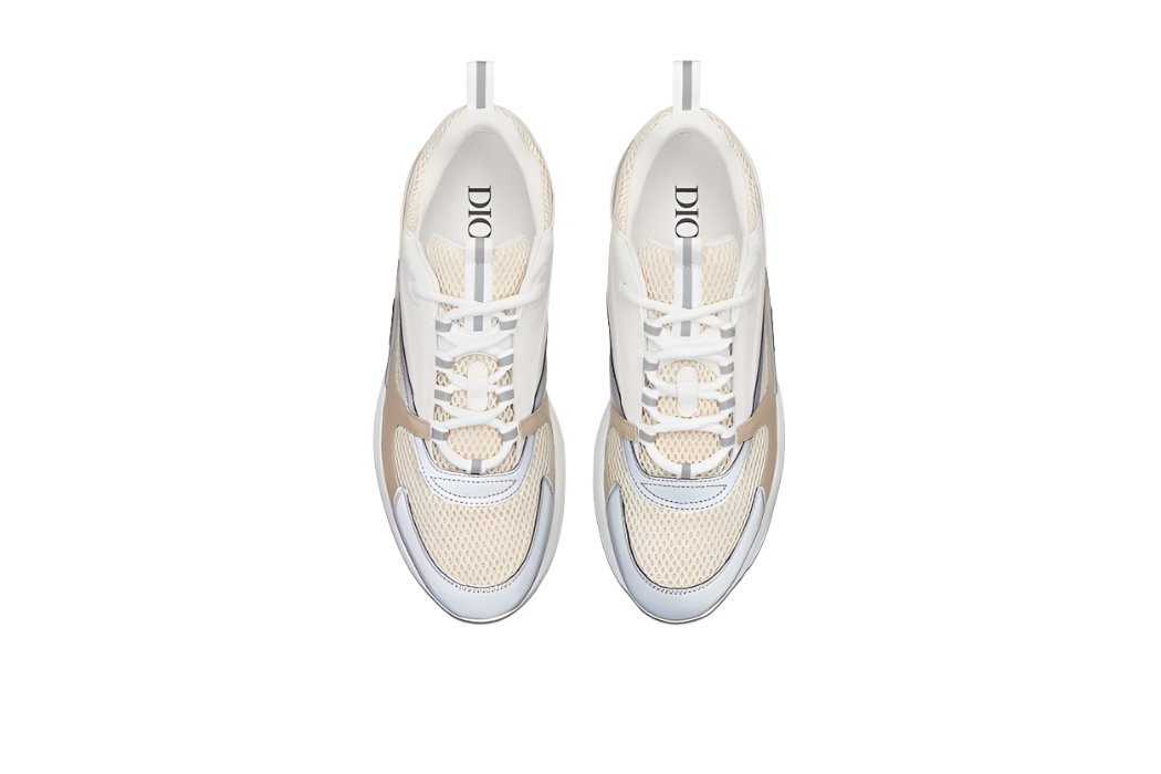 Dior B22 Sneaker