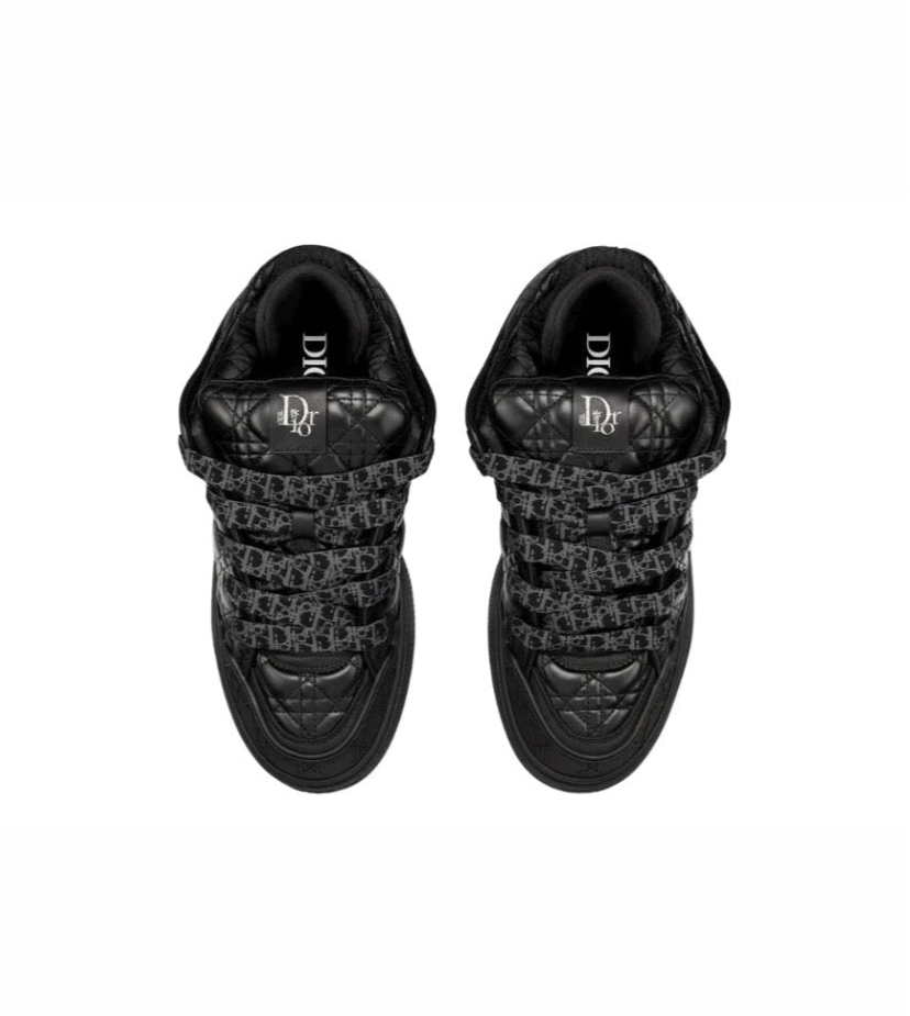 Dior x ERL Skater Low Trainers